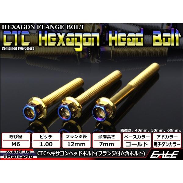 M6×85mm P1.0 フランジ ヘキサゴンヘッドボルト 六角ボルト ステンレス CTC ゴールド＆焼チタンカラー TB0799 | ブランド登録なし | 01