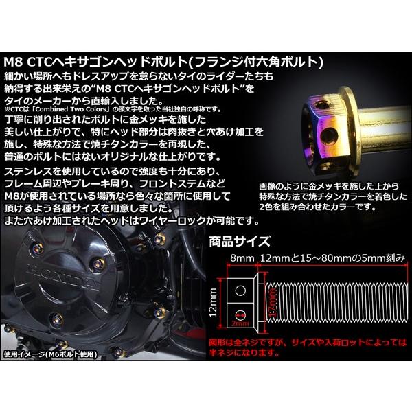 M8×35mm P1.25 フランジ ヘキサゴンヘッドボルト 六角ボルト ステンレス CTC ゴールド＆焼チタンカラー TB0810 | ブランド登録なし | 02
