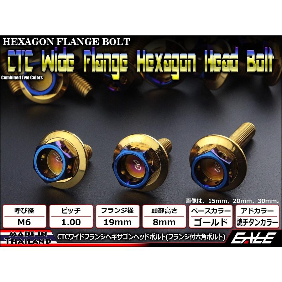 M6×30mm P1.0 ワイドフランジ ヘキサゴンヘッド ボルト 六角ボルト ステンレス CTC ゴールド＆焼チタンカラー TB0836 | ブランド登録なし | 01