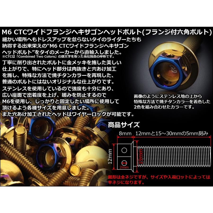 M6×30mm P1.0 ワイドフランジ ヘキサゴンヘッド ボルト 六角ボルト ステンレス CTC ゴールド＆焼チタンカラー TB0836 | ブランド登録なし | 02