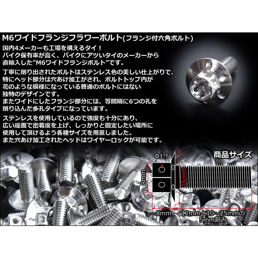 M6×10mm P1.00 ワイドフランジフラワー ボルト ワイヤーロック穴付き 六角ボルト SUS304 ステンレス シルバー TB0955 | ブランド登録なし | 02