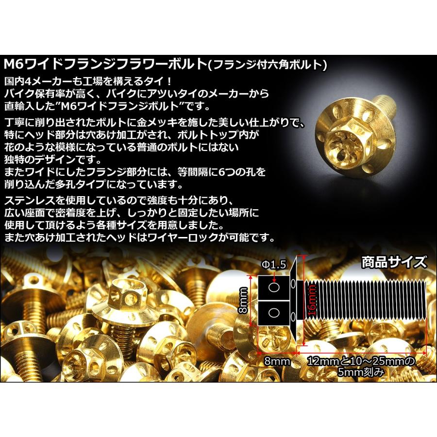 M6×20mm P1.00 ワイドフランジフラワー ボルト ワイヤーロック穴付き 六角ボルト SUS304 ステンレス ゴールド TB0963 | ブランド登録なし | 02