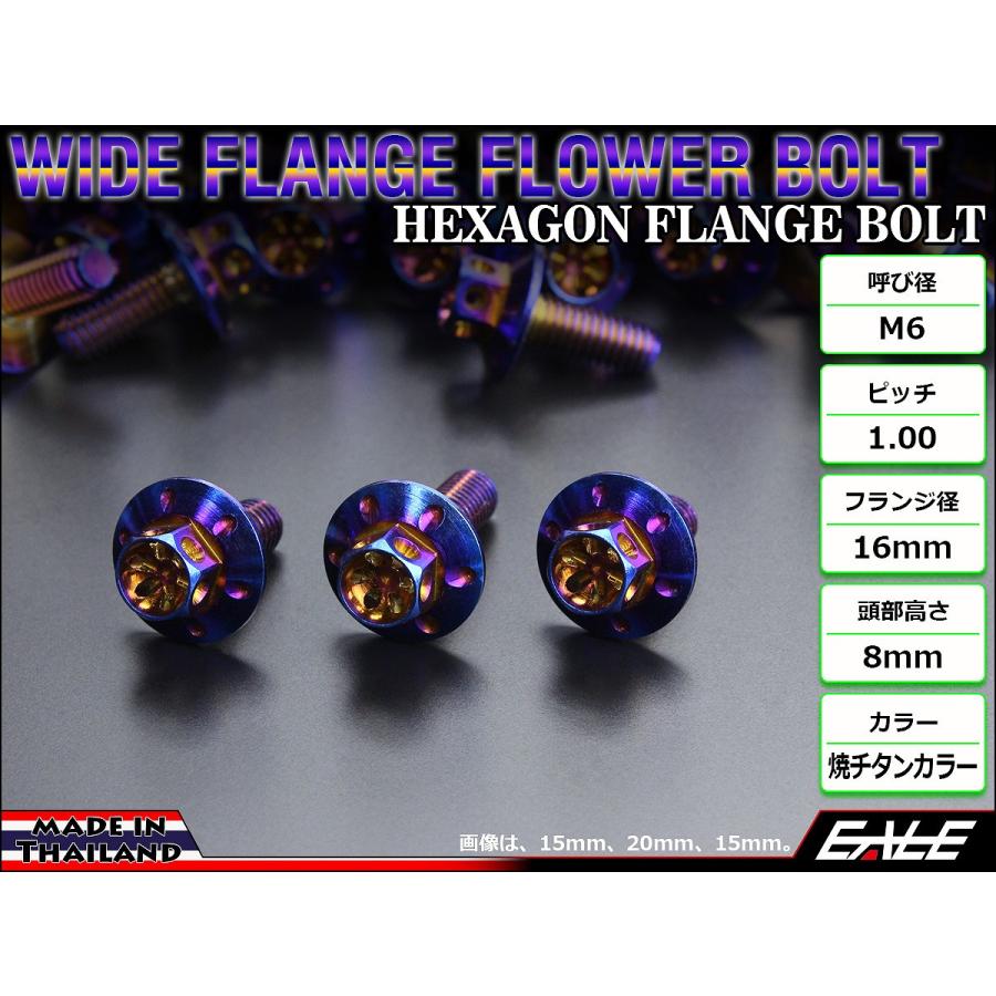 M6×15mm P1.00 ワイドフランジフラワー ボルト ワイヤーロック穴付き 六角ボルト SUS304 ステンレス 焼きチタンカラー TB0967 | ブランド登録なし | 01