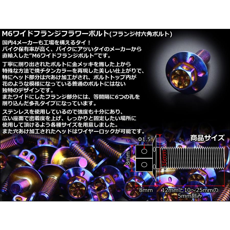 M6×25mm P1.00 ワイドフランジフラワー ボルト ワイヤーロック穴付き 六角ボルト SUS304 ステンレス 焼きチタンカラー TB0969 | ブランド登録なし | 02