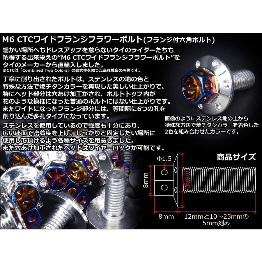 M6×15mm P1.00 2色 ワイドフランジフラワー ボルト ワイヤーロック穴付き 六角ボルト ステンレス削り出し シルバー&焼きチタンカラー TB0972 | ブランド登録なし | 02