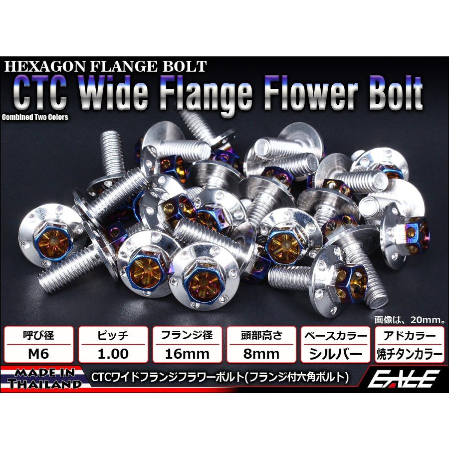 M6×25mm P1.00 2色 ワイドフランジフラワー ボルト ワイヤーロック穴付き 六角ボルト ステンレス削り出し シルバー&焼きチタンカラー TB0974 | ブランド登録なし | 01
