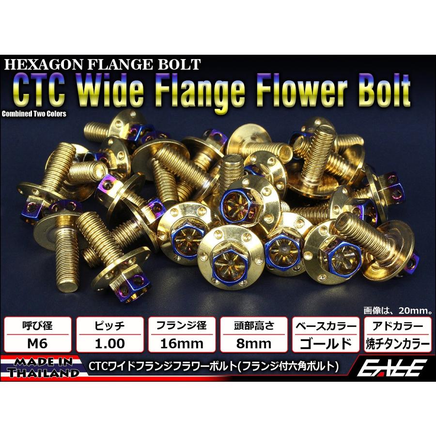M6×25mm P1.00 2色 ワイドフランジフラワー ボルト ワイヤーロック穴付き 六角ボルト ステンレス削り出し ゴールド&焼きチタンカラー TB0979 | ブランド登録なし | 01