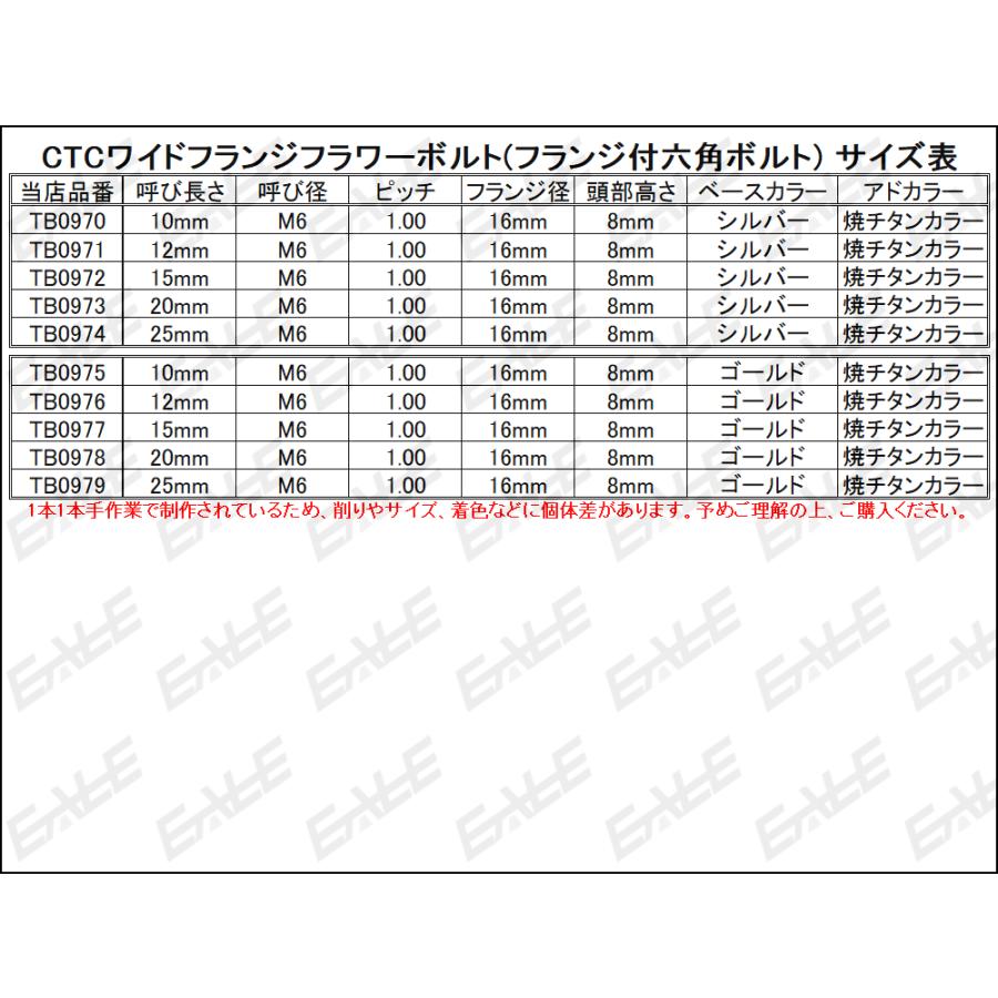 M6×25mm P1.00 2色 ワイドフランジフラワー ボルト ワイヤーロック穴付き 六角ボルト ステンレス削り出し ゴールド&焼きチタンカラー TB0979 | ブランド登録なし | 03