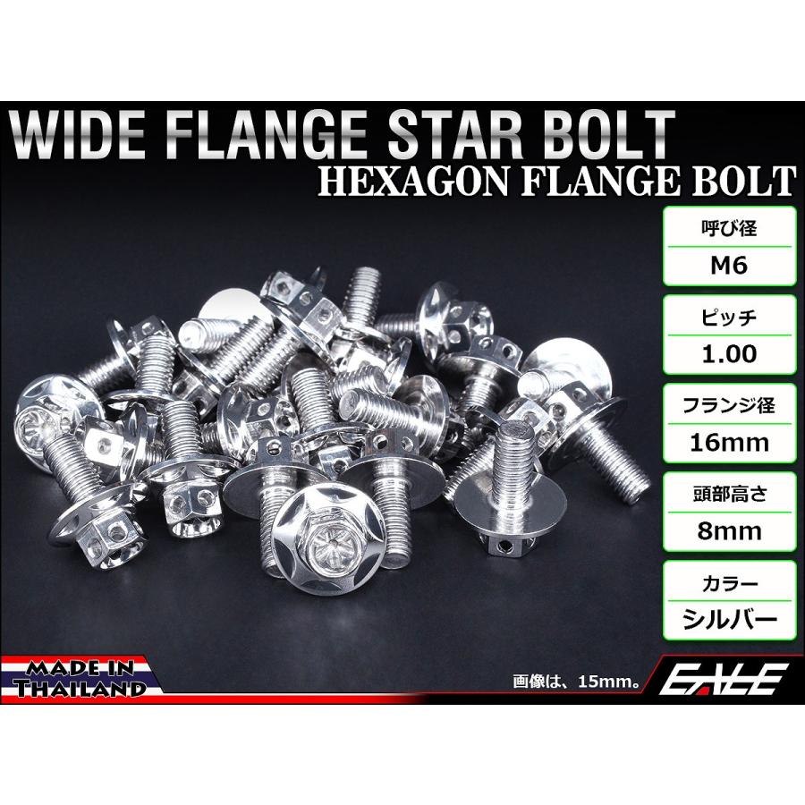 M6×25mm P1.00 ワイドフランジスター ボルト ワイヤーロック穴付き 六角ボルト SUS304 ステンレス シルバー TB0984 | ブランド登録なし | 01