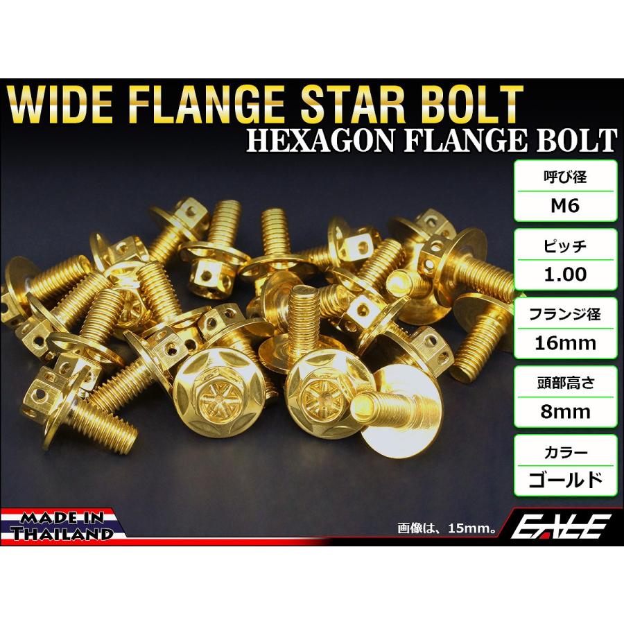 M6×25mm P1.00 ワイドフランジスター ボルト ワイヤーロック穴付き 六角ボルト SUS304 ステンレス ゴールド TB0989 | ブランド登録なし | 01