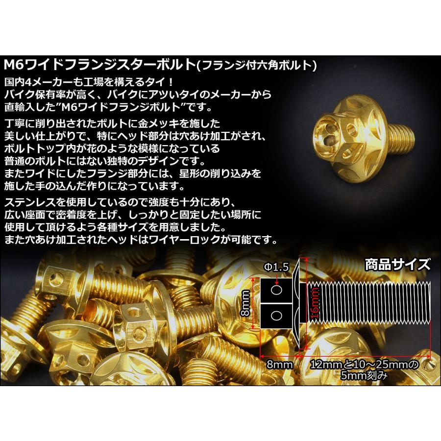 M6×25mm P1.00 ワイドフランジスター ボルト ワイヤーロック穴付き 六角ボルト SUS304 ステンレス ゴールド TB0989 | ブランド登録なし | 02