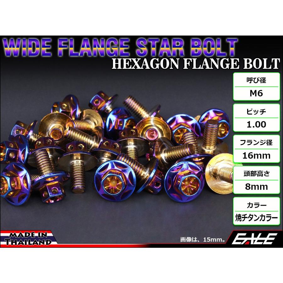 M6×15mm P1.00 ワイドフランジスター ボルト ワイヤーロック穴付き 六角ボルト SUS304 ステンレス 焼きチタンカラー TB0992 | ブランド登録なし | 01