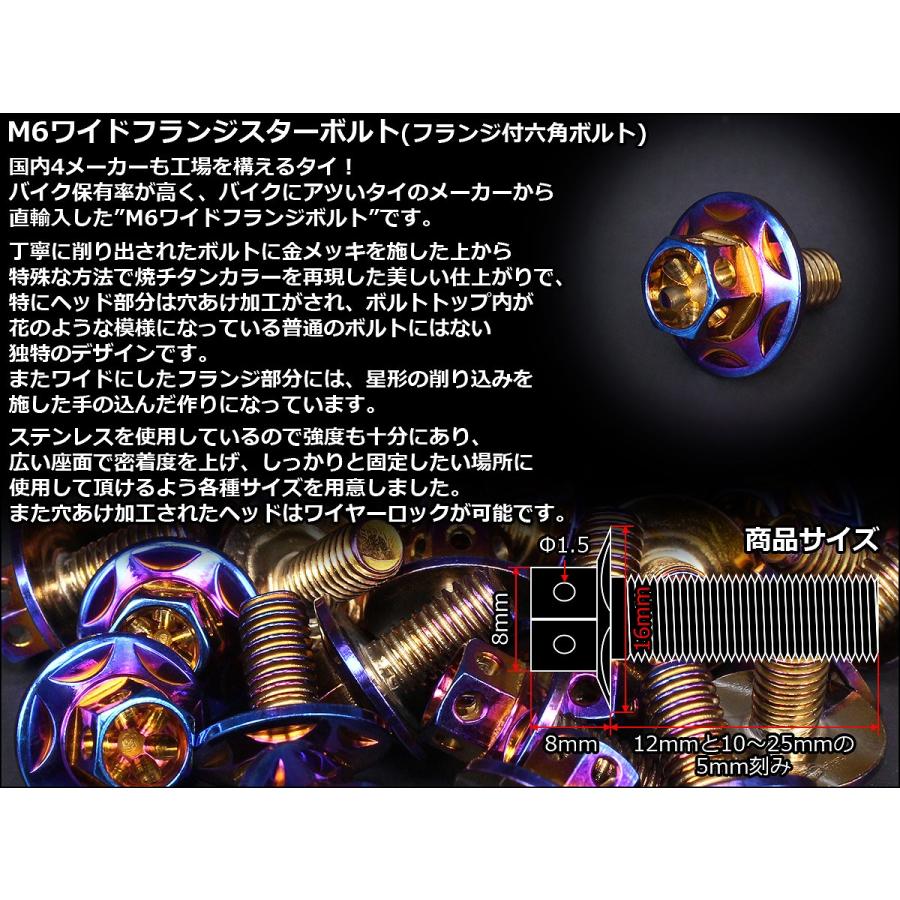 M6×15mm P1.00 ワイドフランジスター ボルト ワイヤーロック穴付き 六角ボルト SUS304 ステンレス 焼きチタンカラー TB0992 | ブランド登録なし | 02