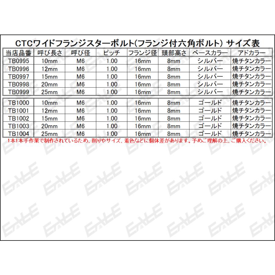 M6×12mm P1.00 2色 ワイドフランジスター ボルト ワイヤーロック穴付き 六角ボルト ステンレス削り出し ゴールド&焼きチタンカラー TB1001 | ブランド登録なし | 03