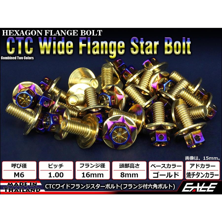 M6×20mm P1.00 2色 ワイドフランジスター ボルト ワイヤーロック穴付き 六角ボルト ステンレス削り出し ゴールド&焼きチタンカラー TB1003 | ブランド登録なし | 01