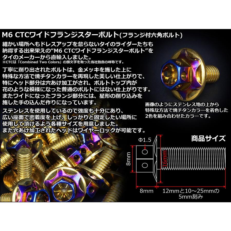 M6×20mm P1.00 2色 ワイドフランジスター ボルト ワイヤーロック穴付き 六角ボルト ステンレス削り出し ゴールド&焼きチタンカラー TB1003 | ブランド登録なし | 02
