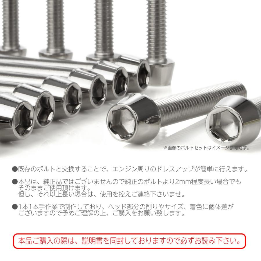 ホンダ エイプ 50 100 -2005 エンジンカバーボルト 14本セット ホンダ エイプ 50 100 -2005 エンジンカバーボルト 14本セット
