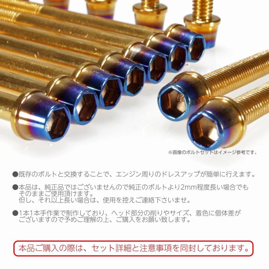 エイプ XR モタード  50 100 エンジンカバーボルト 14本set CTCテーパーヘッド 金＆焼チタン TB6183 | ホンダ | 01