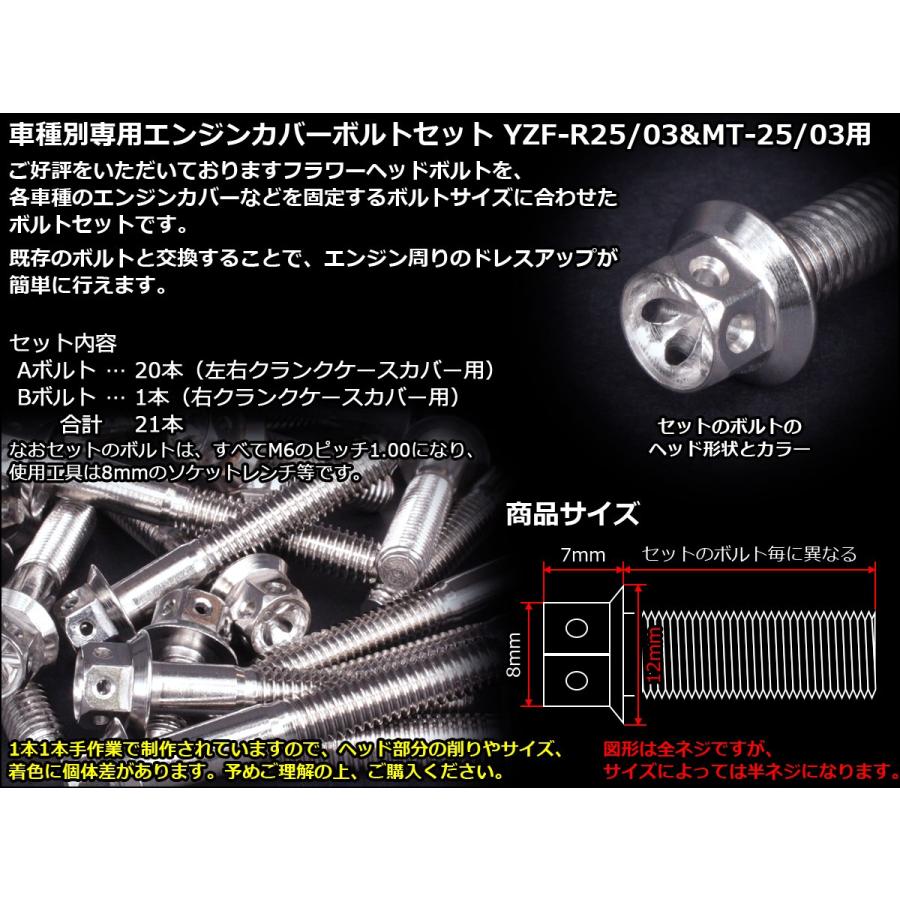 ヤマハ発動機 YZF-R25 YZF-R3 MT-25 MT-03 エンジンカバー ボルト21本