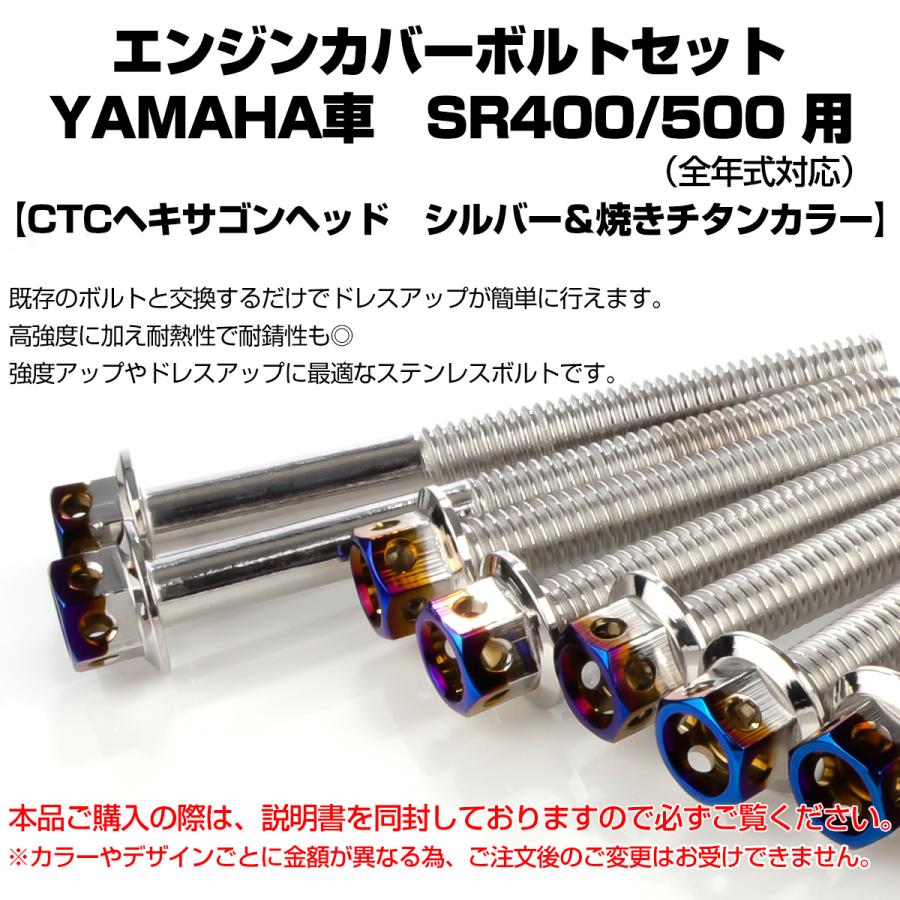 エンジンカバー ボルトセット SR400 SR500 20本セット ヘキサゴンヘッド ヤマハ用 シルバー＆ブルー TB7109 | ヤマハ発動機 | 01