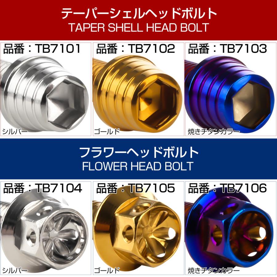 エンジンカバー ボルトセット SR400 SR500 20本セット テーパーシェルヘッド ヤマハ用 ゴールド＆ブルー TB7112 | ヤマハ発動機 | 02