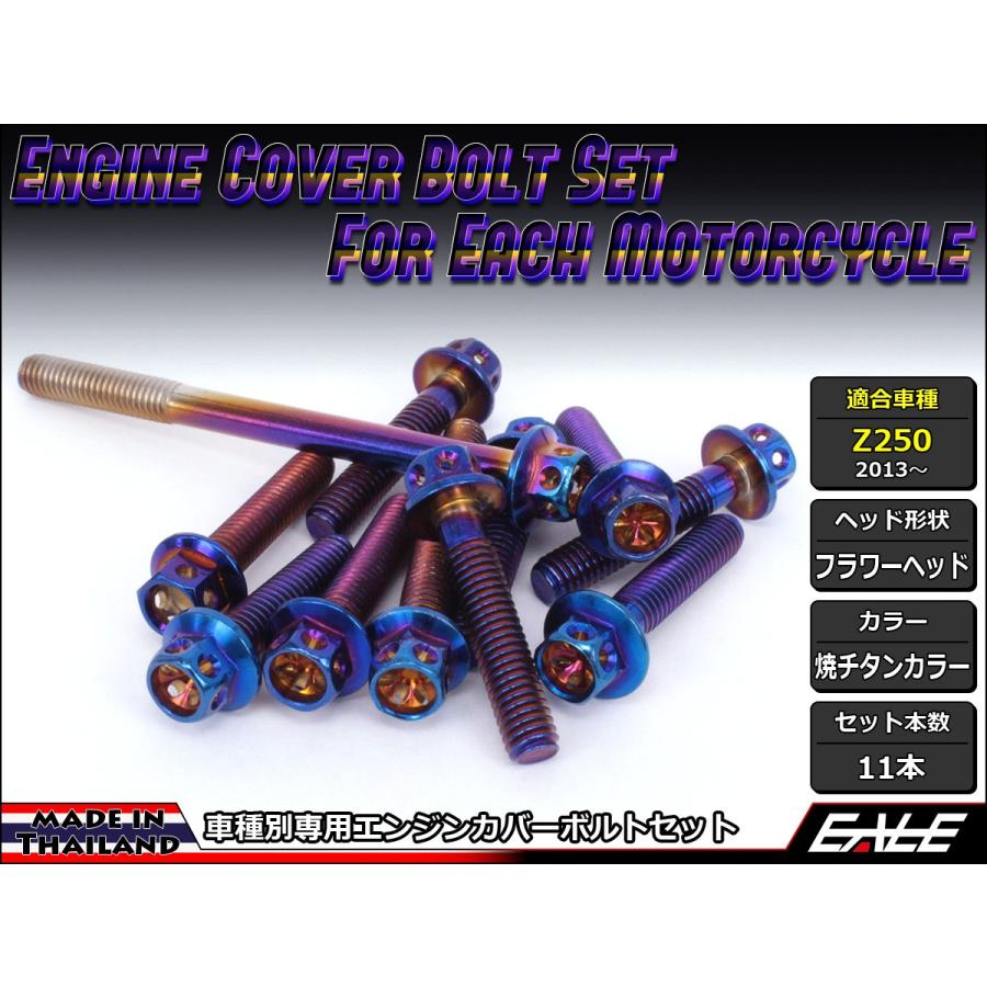 Z250(ER250) エンジンカバー ボルト11本set フランジ付六角ボルト フラワーヘッド 焼チタンカラー TB8056 | ブランド登録なし