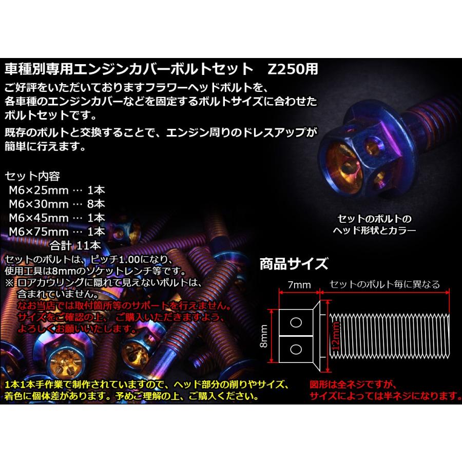 Z250(ER250) エンジンカバー ボルト11本set フランジ付六角ボルト フラワーヘッド 焼チタンカラー TB8056 | ブランド登録なし | 01
