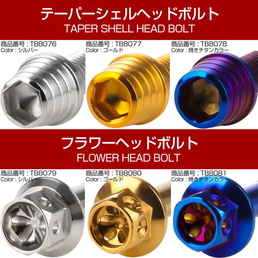 GPZ900R エンジンカバーボルト 26本セット 汎用 カワサキ車用 テーパーシェルヘッド シルバー TB8076 | カワサキ | 02