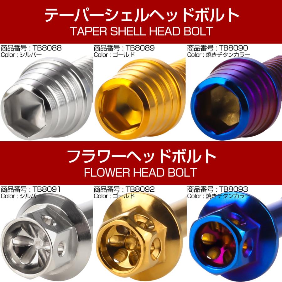 GPZ900R オイルパンボルトセット 10本セット 汎用 カワサキ車用 テーパーシェルヘッド シルバー TB8088 | カワサキ | 02
