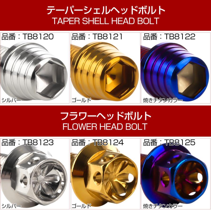 ゼファー400 エンジンカバーボルト 19本セット カワサキ車用 ZEPHYR400 CTC テーパーシェルヘッド ゴールド＆焼きチタンカラー TB8131 | カワサキ | 02