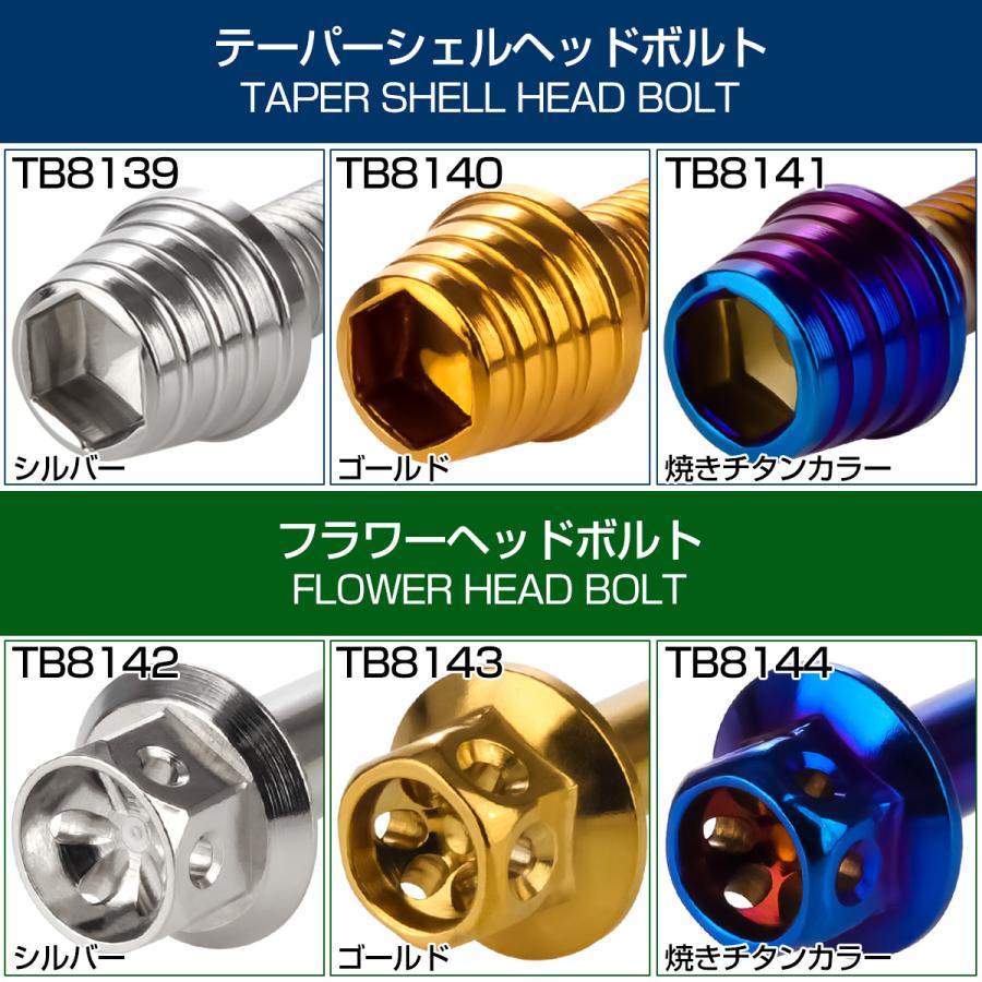 ゼファー750 RS エンジンカバーボルト 20本セット カワサキ車用 ZEPHYR テーパーシェルヘッド 焼きチタン TB8141 | カワサキ | 02