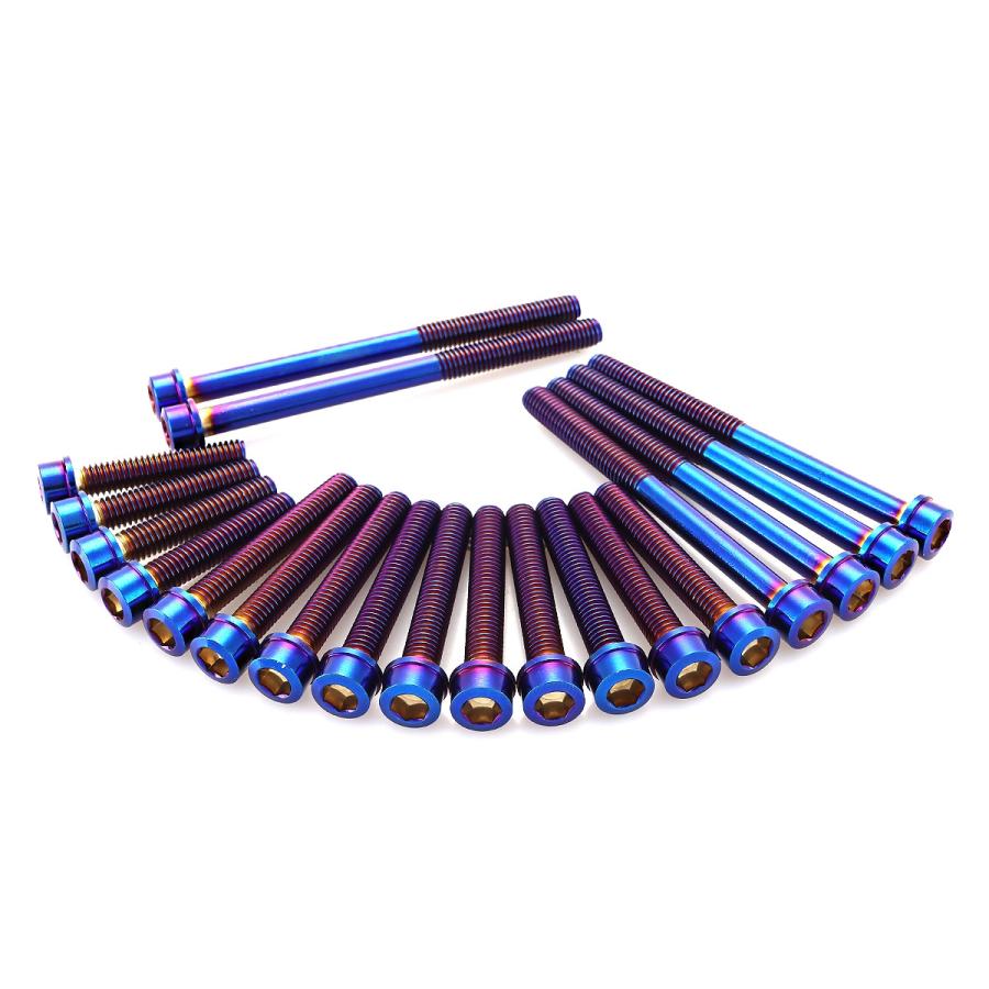 エンジンカバー ボルトセット ZEPHYR ゼファー750 RS 20本セット スリムヘッド カワサキ用 焼きチタン色 TB8965 | カワサキ | 02