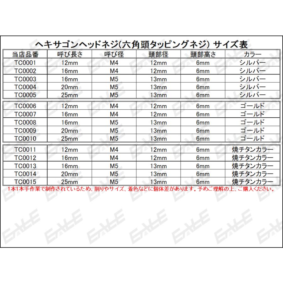M5×20mm ヘキサゴンヘッドネジ タッピングネジ ステンレス 削り出し 六角頭 フランジ シルバー TC0004 | ブランド登録なし | 02