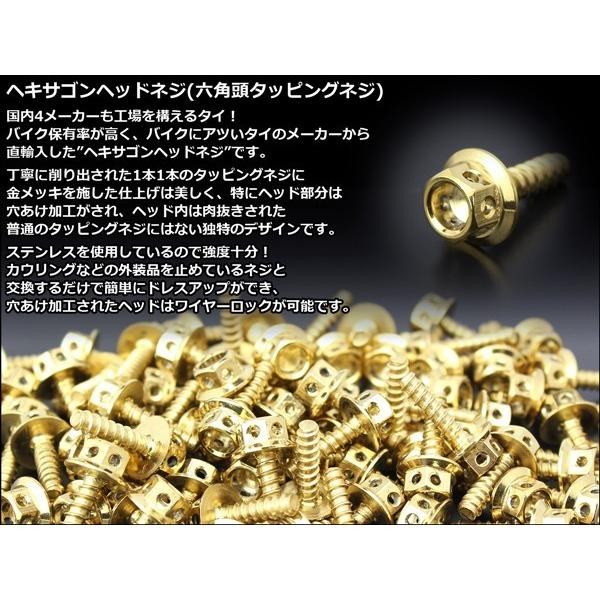 M5×25mm ヘキサゴンヘッドネジ タッピングネジ ステンレス 削り出し 六角頭 フランジ カウルやパネルなどに ゴールド TC0010 | ブランド登録なし | 01