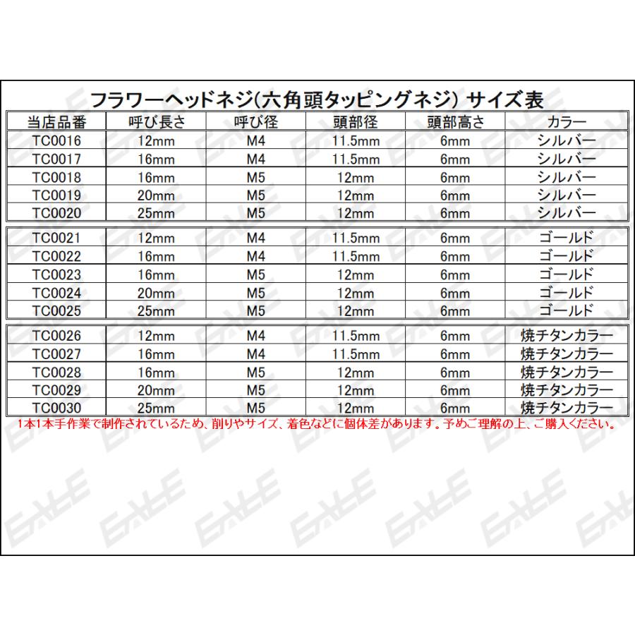 M4×12mm フラワーヘッドネジ タッピングネジ ステンレス 削り出し 六角頭 フランジ 焼チタンカラー TC0026|eale|03