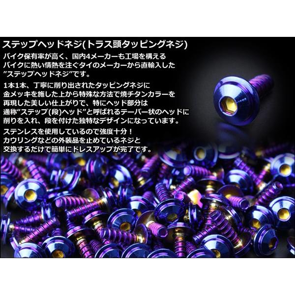 M4×16mm ステップヘッドネジ タッピングネジ ステンレス 削り出し
