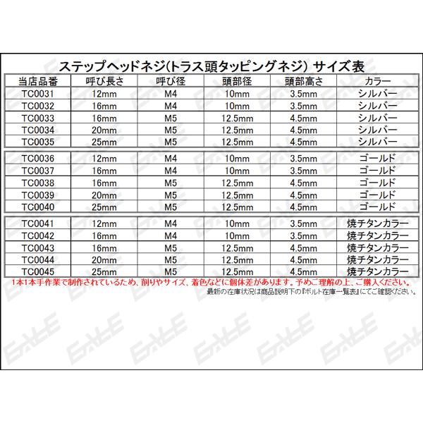 M4×16mm ステップヘッドネジ タッピングネジ ステンレス 削り M4×16mm ステップヘッドネジ タッピングネジ ステンレス 削り