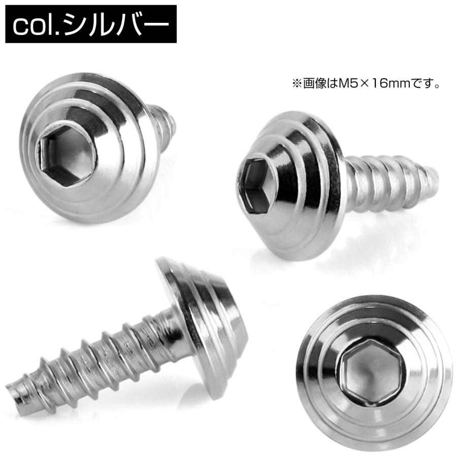 M4×12mm シェルヘッドネジ タッピングネジ ステンレス 削り出し トラス頭 カウルやパネルなどに シルバー TC0076 | ブランド登録なし | 02