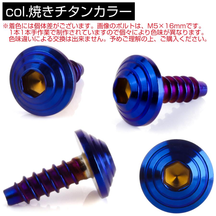 M4×12mm シェルヘッドネジ タッピングネジ ステンレス 削り出し トラス頭 カウルやパネルなどに 焼チタンカラー TC0086 | ブランド登録なし | 02