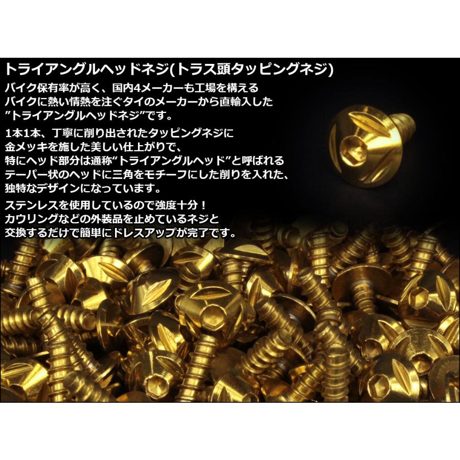 M5×25mm トライアングルヘッドネジ タッピングネジ ステンレス 削り出し トラス頭 ゴールド TC0100 | ブランド登録なし | 01