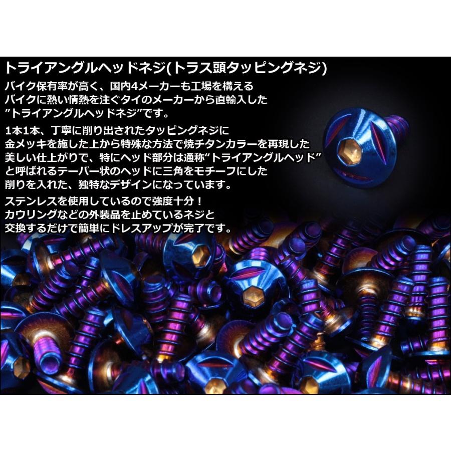 M4×16mm トライアングルヘッドネジ タッピングネジ ステンレス 削り出し トラス頭 焼チタンカラー TC0102 | ブランド登録なし | 01