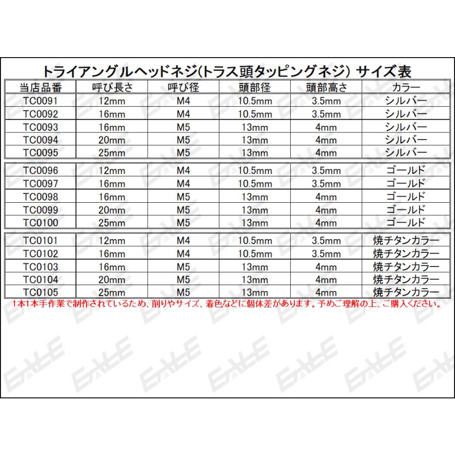M4×16mm トライアングルヘッドネジ タッピングネジ ステンレス 削り出し トラス頭 焼チタンカラー TC0102 | ブランド登録なし | 02