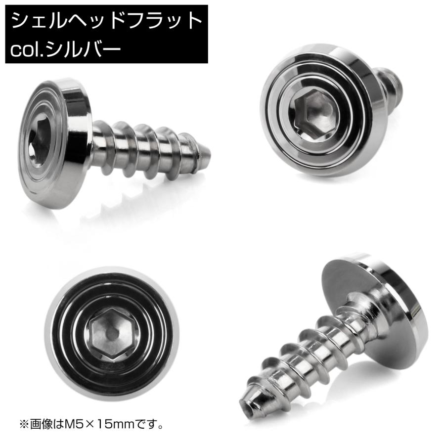 タッピングネジ M5×25mm SUS304 ステンレス シェルヘッドフラット 六角穴 フランジ付き ネジ シルバー TC0155 | ブランド登録なし | 02