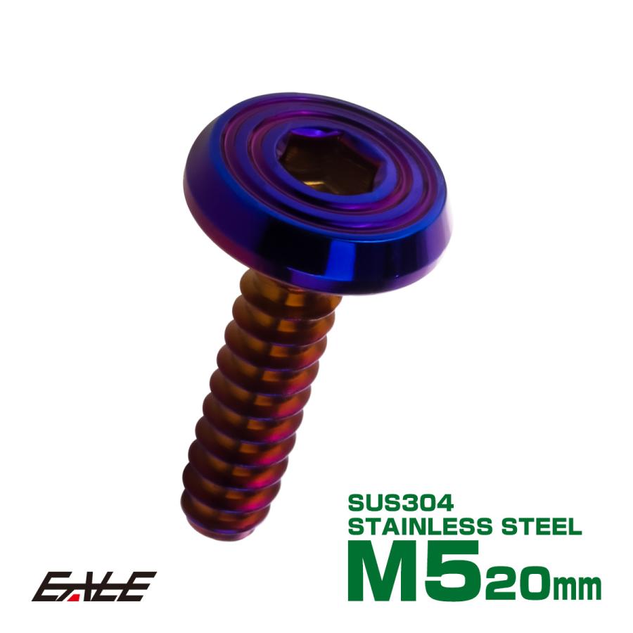 タッピングネジ M5×20mm SUS304 ステンレス シェルヘッドフラット 六角穴 フランジ付き ネジ 焼きチタンカラー TC0164 | ブランド登録なし