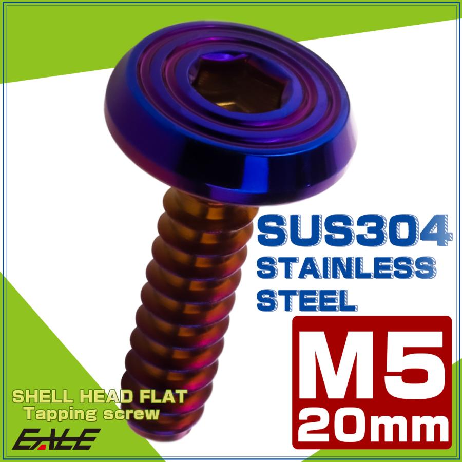 タッピングネジ M5×20mm SUS304 ステンレス シェルヘッドフラット 六角穴 フランジ付き ネジ 焼きチタンカラー TC0164 | ブランド登録なし | 01