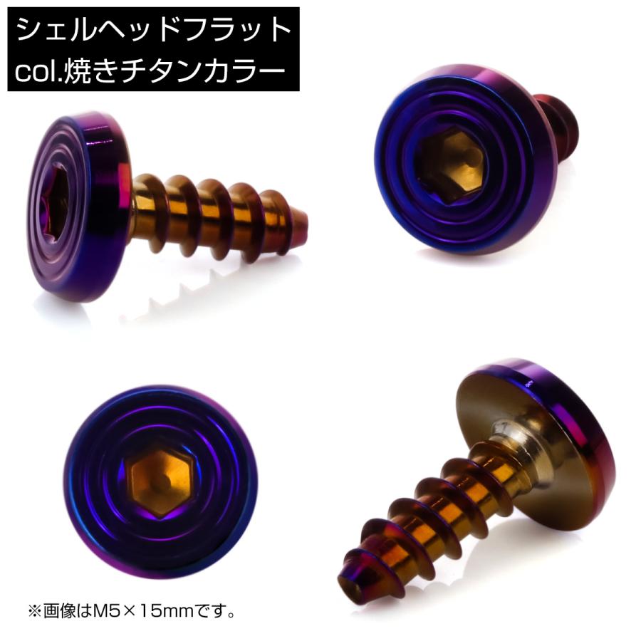 タッピングネジ M5×20mm SUS304 ステンレス シェルヘッドフラット 六角穴 フランジ付き ネジ 焼きチタンカラー TC0164 | ブランド登録なし | 02