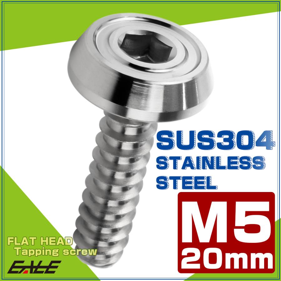 タッピングネジ M5×20mm SUS304 ステンレス フラットヘッド 六角