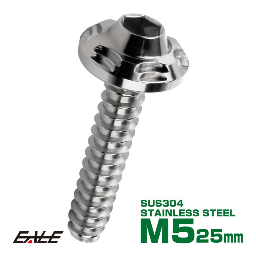 タッピングネジ M5×25mm スノーヘッド 六角穴 フランジ付き ネジ