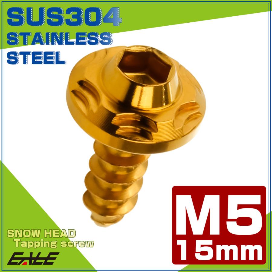 タッピングネジ M5×15mm スノーヘッド 六角穴 フランジ付き ネジ