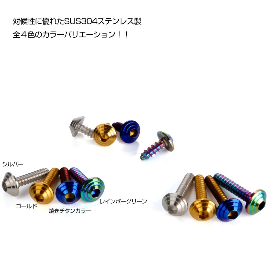 M5×25mm シェルヘッドネジ タッピングネジ ステンレス 削り出し トラス頭 カウルやパネルなどに レインボーグリーン TC0200 | ブランド登録なし | 03